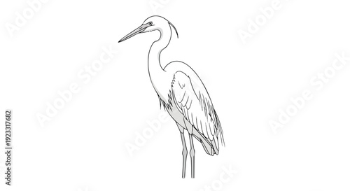 An elegant minimalist line art illustration of a serene wading bird showcasing its distinctive long beak and slender neck. A beautiful monochromatic