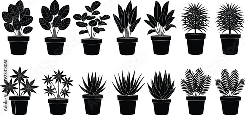 Black vector silhouette set of fourteen diverse indoor potted houseplants including succulents ferns and leafy tropical plants for home decor branding and botanical advertising