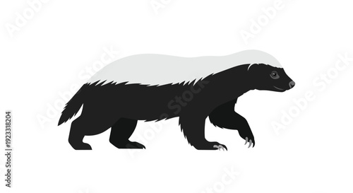 An assertive honey badger illustration showcasing its distinctive black and white fur pattern, a formidable creature of the wild depicted in a