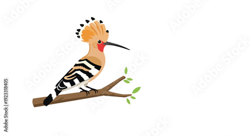 Elegant hoopoe bird illustration perched on a slender branch with fresh green leaves on a pristine white background