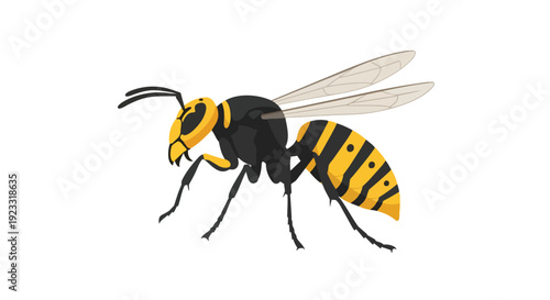 Captivating illustration of a formidable yellow and black striped flying insect with delicate translucent wings in a clean modern simplified graphic