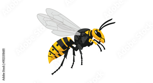 Vibrant Detailed Wasp Illustration with Transparent Wings and Striking Black and Yellow Stripes on a Clean White Background for Design Elements