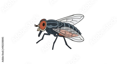 Cartoon fly. Dark grey body, red compound eyes, translucent wings with orange venation, six legs. Isolated for clarity on a pure white background.