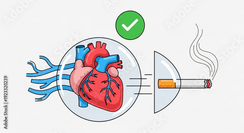 Healthy heart protected from smoking illustration with green checkmark and cigarette