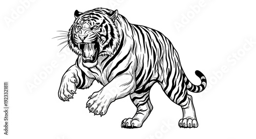 A powerful black and white tiger pouncing toward the left with a menacing snarl, showcasing high-contrast line art that brings out the incredible detail in its fur and sharp claws.