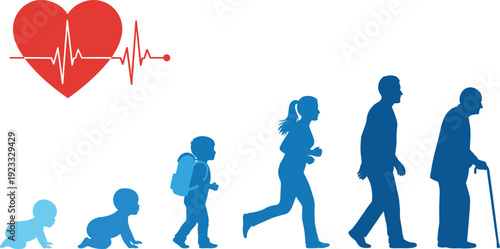 Human Life Cycle Illustration with Heartbeat Symbol Showing Growth from Baby to Elderly Stages Healthcare Aging and Wellness Concept Design