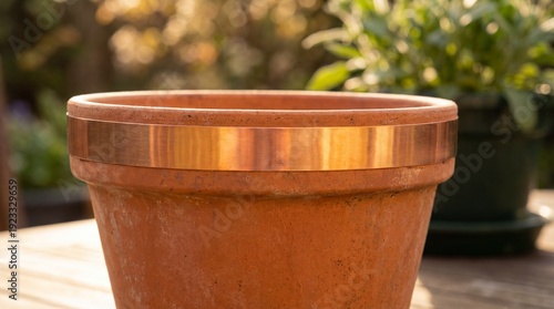 An elegant terracotta flowe...