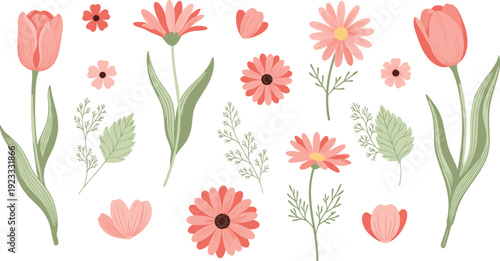 Flat Vector Illustration Set of Pink Spring Flowers and Botanical Greenery Including Tulips, Daisies, and Wildflowers for Greeting Cards and Floral Wedding Designs