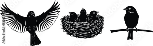 Black and white bird silhouette set, flying songbird and nest with chicks and perched bird, isolated on white background, vector.