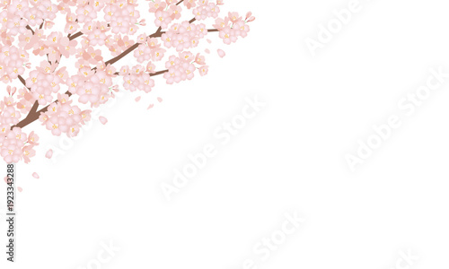 桜　壁紙　フレーム　背景　春　sakura_frame