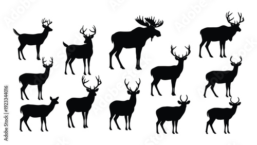 A group of deer silhouettes in various poses isolated on white background, Vector