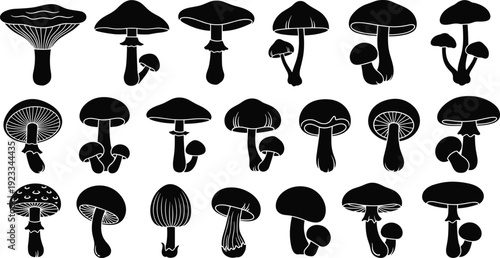 Islamic calligraphy, mosque silhouettes, mushroom silhouettes, music notation notes, heart shapes, business management icons, web symbols, team hierarchy, and Ramadan greetings,