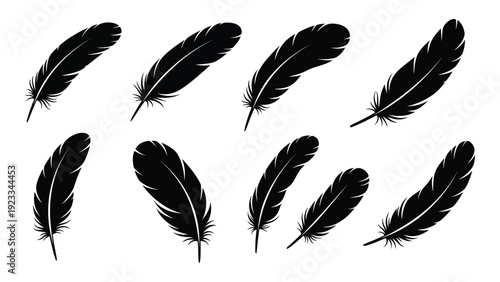 A group of black feathers on a white background isolated on white background, Vector