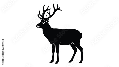 A black silhouette of a deer with large antlers isolated on white background, Vector