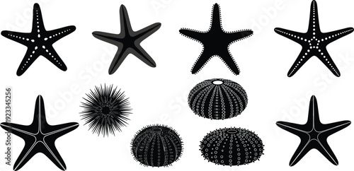 Starfish and sea urchin silhouettes, zebra with foal, mushroom varieties, Islamic calligraphy, mosque architecture, music notation, heart shapes, and lanterns.