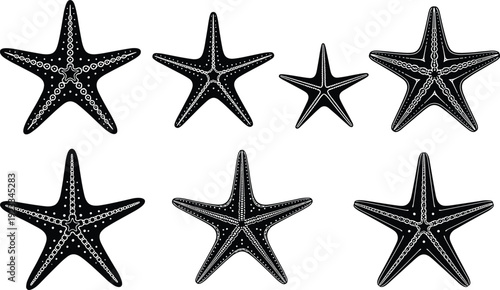Starfish silhouette collection vector illustration, marine sea star set for summer beach design, oceanic underwater animals icons, decorative aquatic wildlife symbols