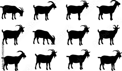 Goat silhouettes collection, farm animal standing and grazing action poses set, livestock mountain goat icons, isolated black vector illustration elements for design,