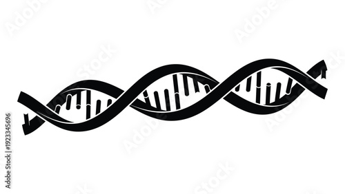A black and white image of a dna double helix isolated on white background, Vector