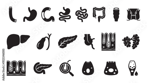 Comprehensive collection of human digestive system organs, glands, and microscopic structures presented as silhouette icons for medical education, biology studies, and healthcare