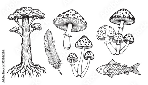 Hand drawn natural elements collection featuring a large rooted tree, a detailed feather, various spotted toadstools, and a swimming fish, perfect for nature themed graphic projects and