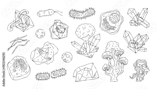 Detailed scientific line drawings illustrating diverse microorganisms, complex biological cells, faceted mineral crystals, and organic structures for educational content, research