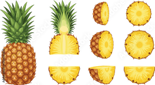 Pineapple Whole And Sliced Collection With Fresh Tropical Fruit Illustration Set