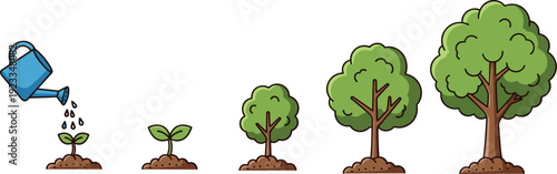 Tree Growth Stages Illustration From Watering Seedling To Mature Plant Development Concept