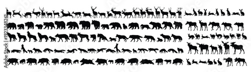 big set of silhouettes of forest animals