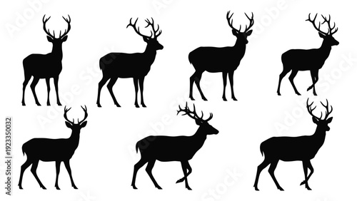 A group of deer silhouettes walking in different directions isolated on white background, Vector