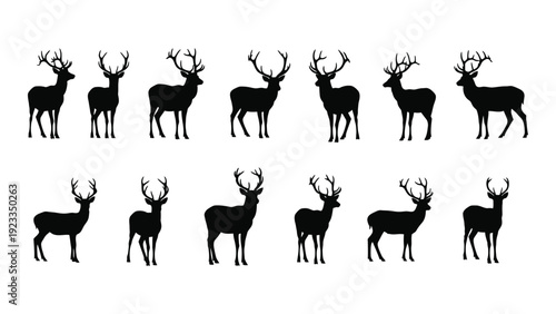 A group of deer silhouettes standing in two rows isolated on white background, Vector