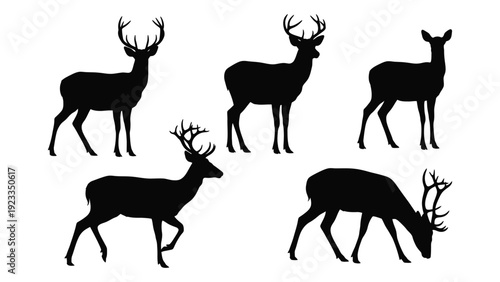 A group of deer silhouettes in different poses isolated on white background, Vector