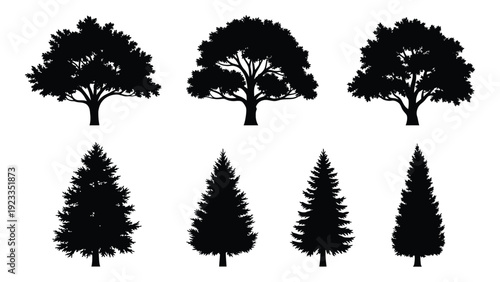 Six different tree silhouettes on a white background isolated on white background, Vector