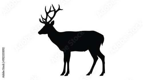 A black silhouette of a deer with antlers isolated on white background, Vector