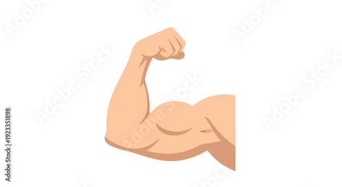 Bicep muscle image, vector illustration, fitness concept, strength and power, health and wellness.