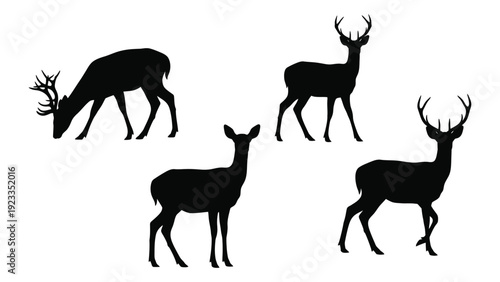 Four deer silhouettes on a white background isolated on white background, Vector