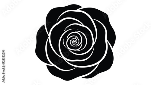 A black and white image of a rose isolated on white background, Vector