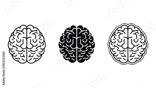 A black and white illustration of three brains isolated on white background, Vector