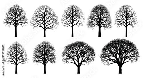 Collection of bare deciduous trees in silhouette against a white background.