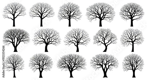 Collection of bare trees silhouettes representing winter season.