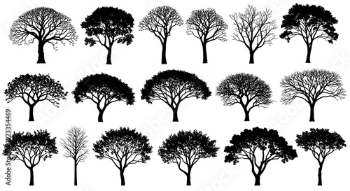 Collection of Diverse Tree Silhouettes Representing Various Species and Seasons.