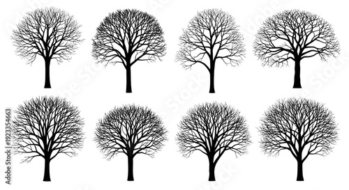 Collection of eight bare winter trees silhouettes on a white background.