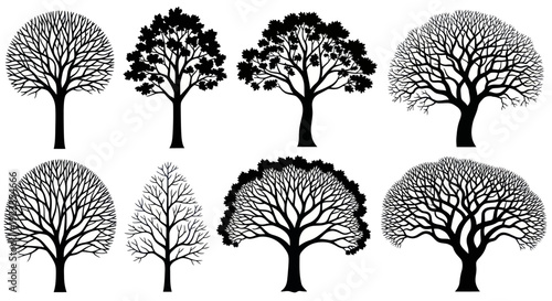 Collection of eight distinct tree silhouettes, showcasing various forms and intricate branch patterns.