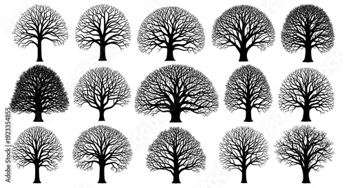 Collection of Silhouetted Deciduous Trees in Winter or Early Spring.
