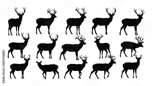 A group of deer silhouettes in various poses isolated on white background, Vector