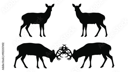 Silhouettes of deer in a confrontational stance isolated on white background, Vector