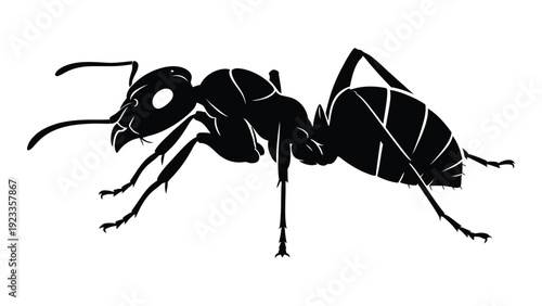 A black and white illustration of an ant isolated on white background, Vector