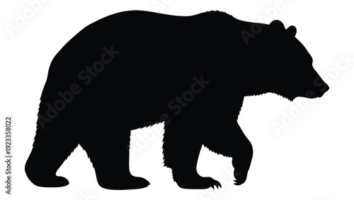 A black silhouette of a bear walking on a white background isolated on white background, Vector