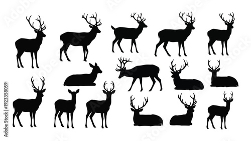 A group of deer silhouettes in various poses isolated on white background, Vector