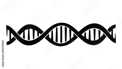A black and white image of a dna double helix isolated on white background, Vector