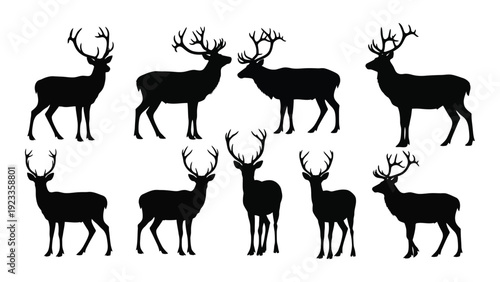 A group of deer silhouettes standing in different poses isolated on white background, Vector